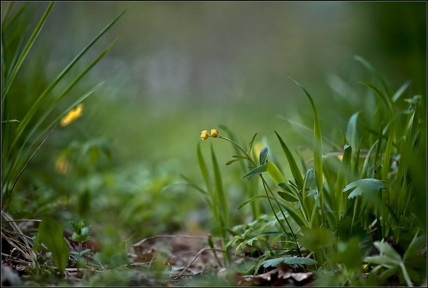 , Евгений Кирилкин.
