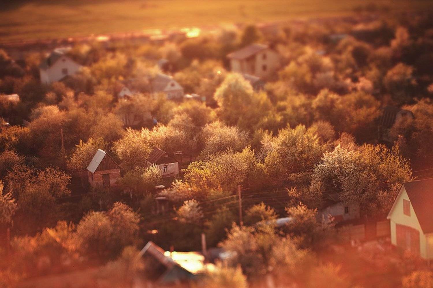 , Александр Ёж