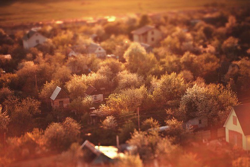 Sunset фото превью