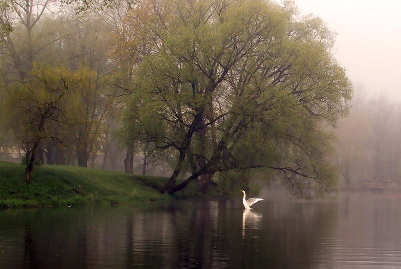 Утренние упражнения фото превью