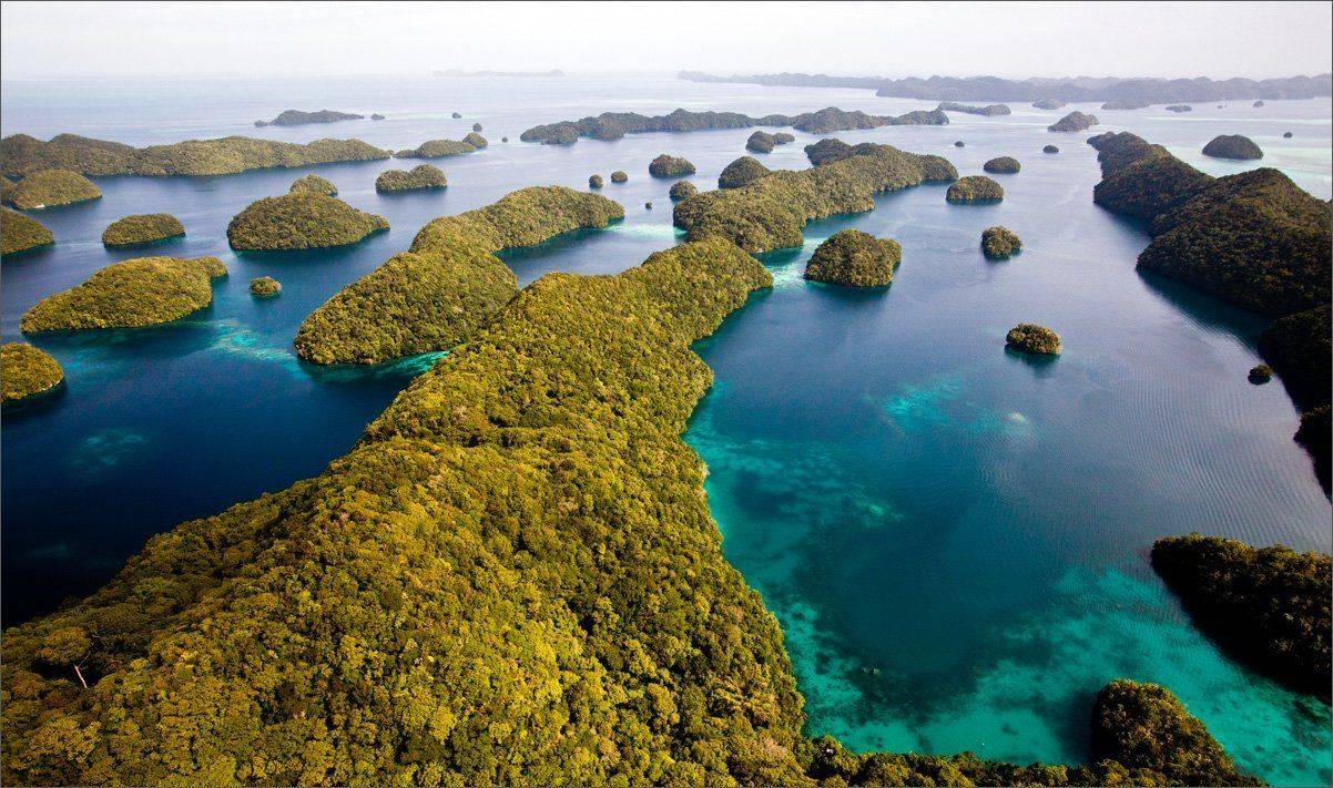 возможно, Нетушки