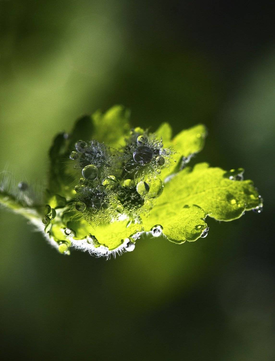 , Юлия Новохатько