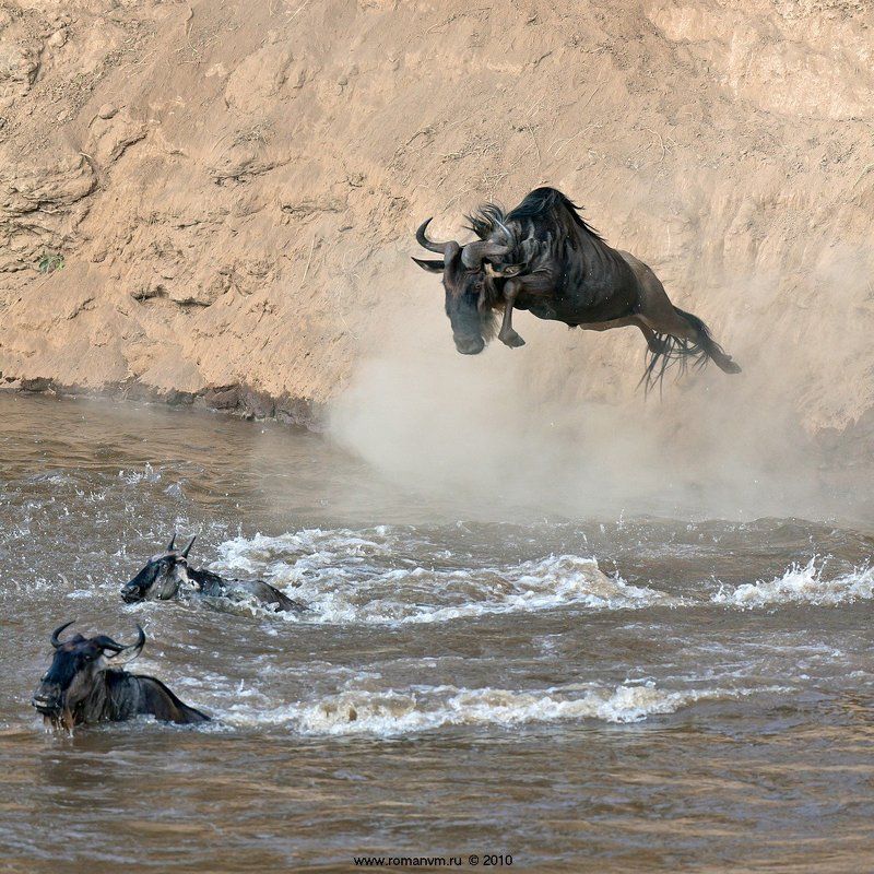 Freejumping. фото превью