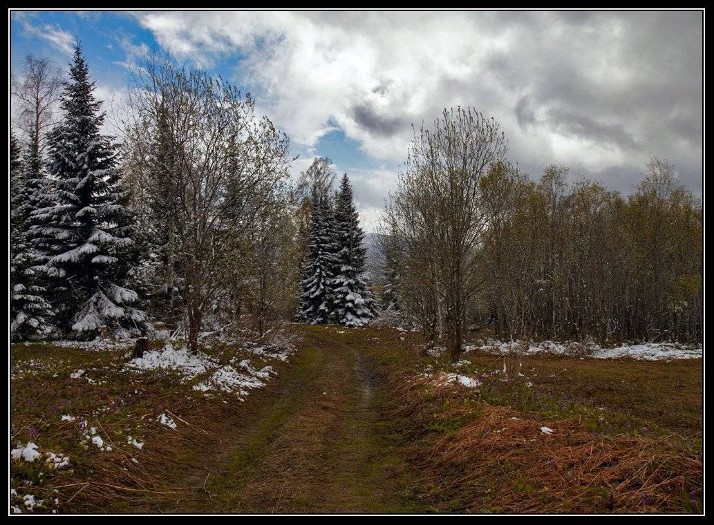 , Юрий Фролов