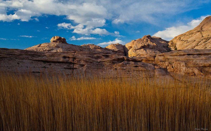 Фотосафари по Бектау-Ата (ч.1) фото превью