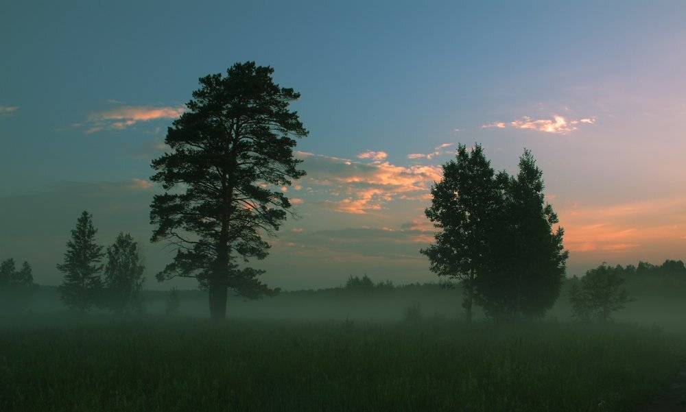 , Николай Морский