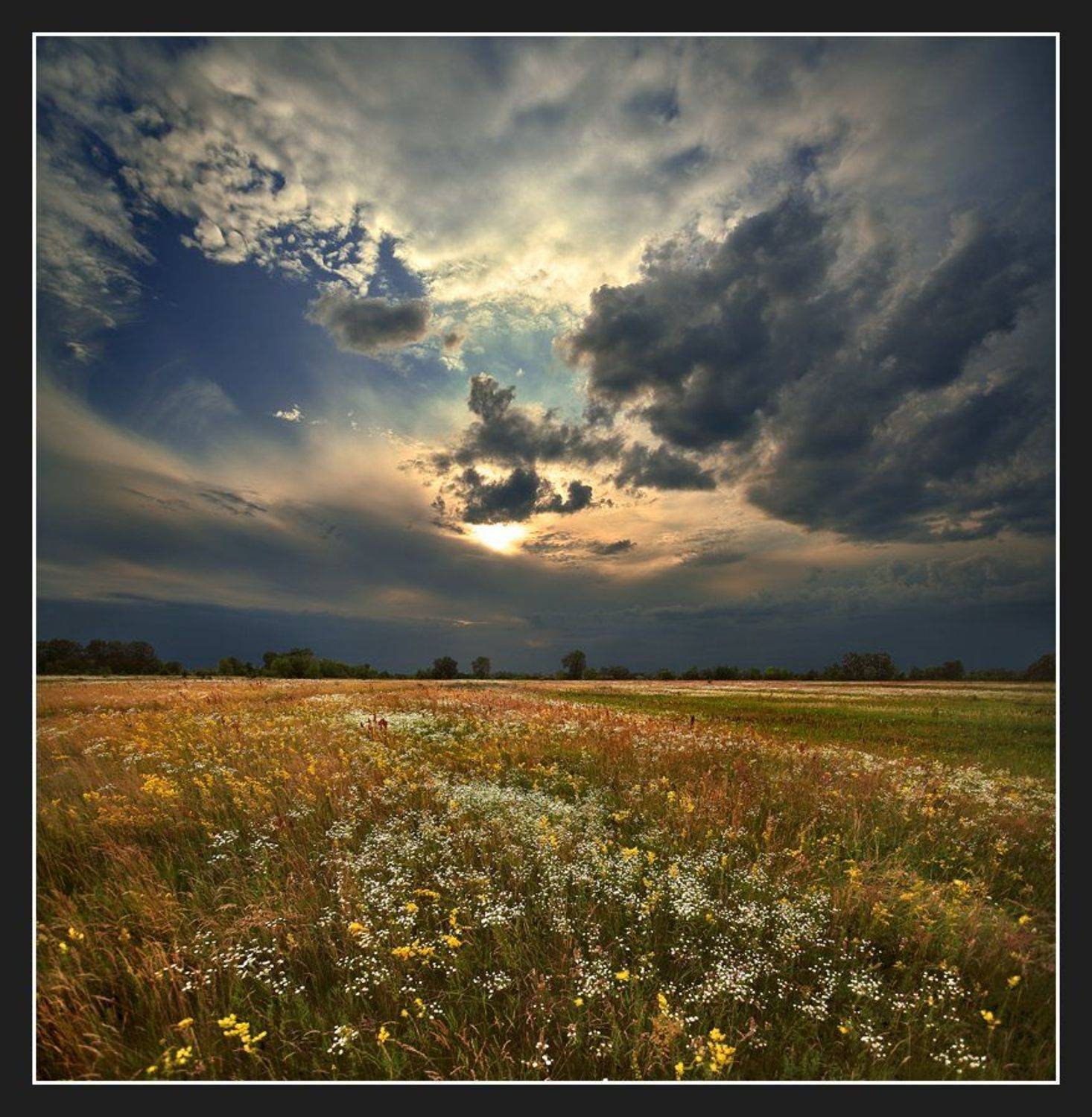 , Алексей Соловей