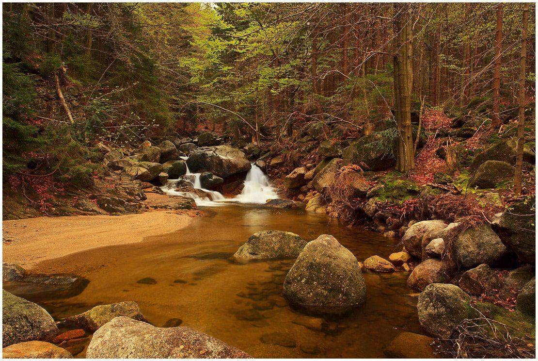 природа, пейзаж, лес, река, камни, листва, Oleg Dmitriev