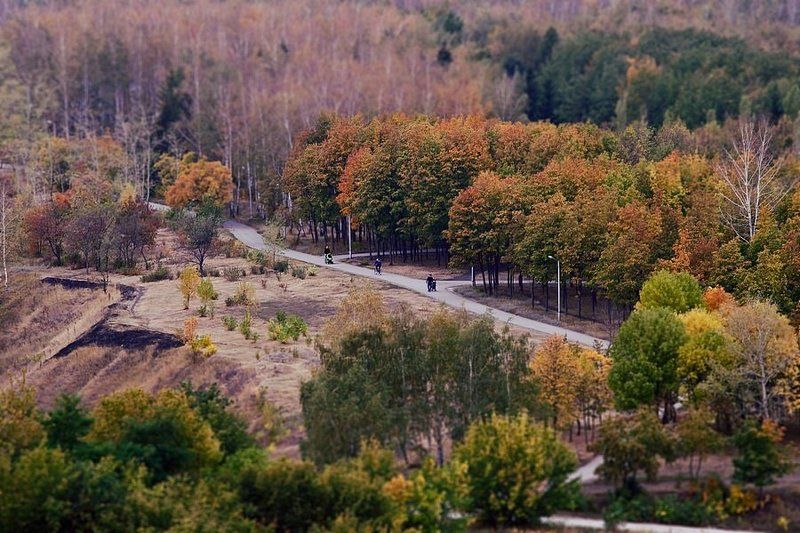 Все тот же парк (осень) фото превью