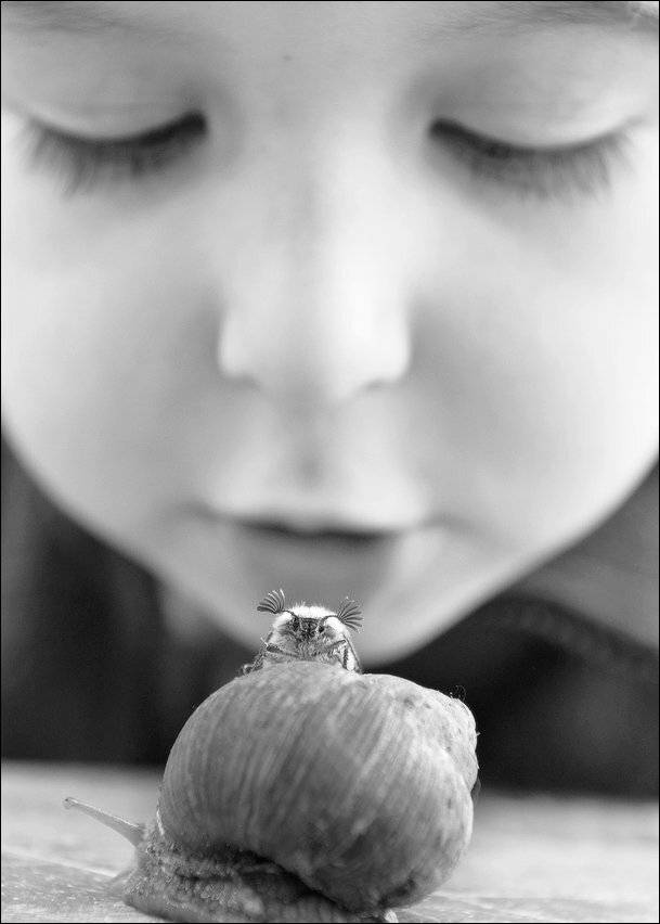 майский, жук, улитка, Колчин Пётр