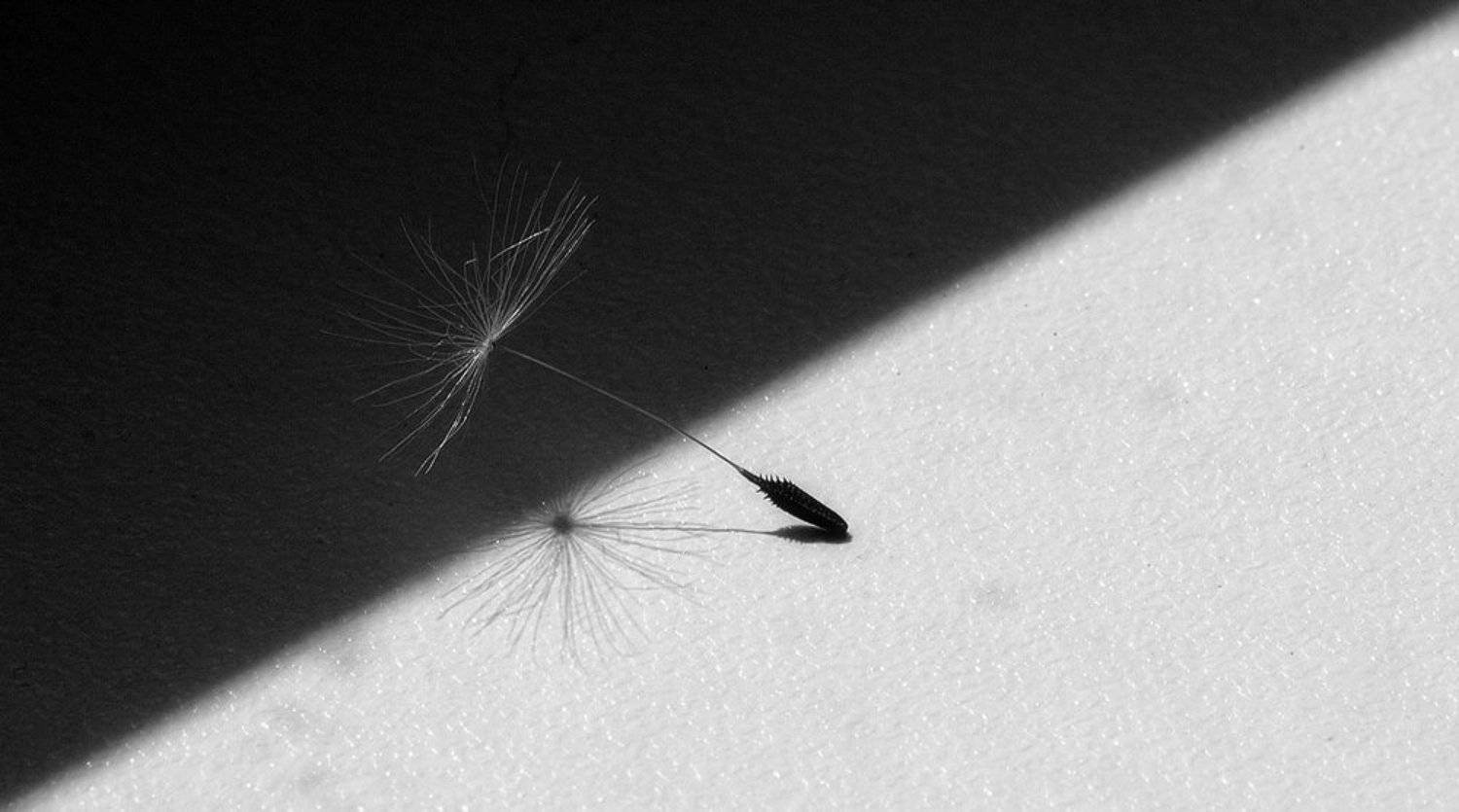 , Александр Андреев