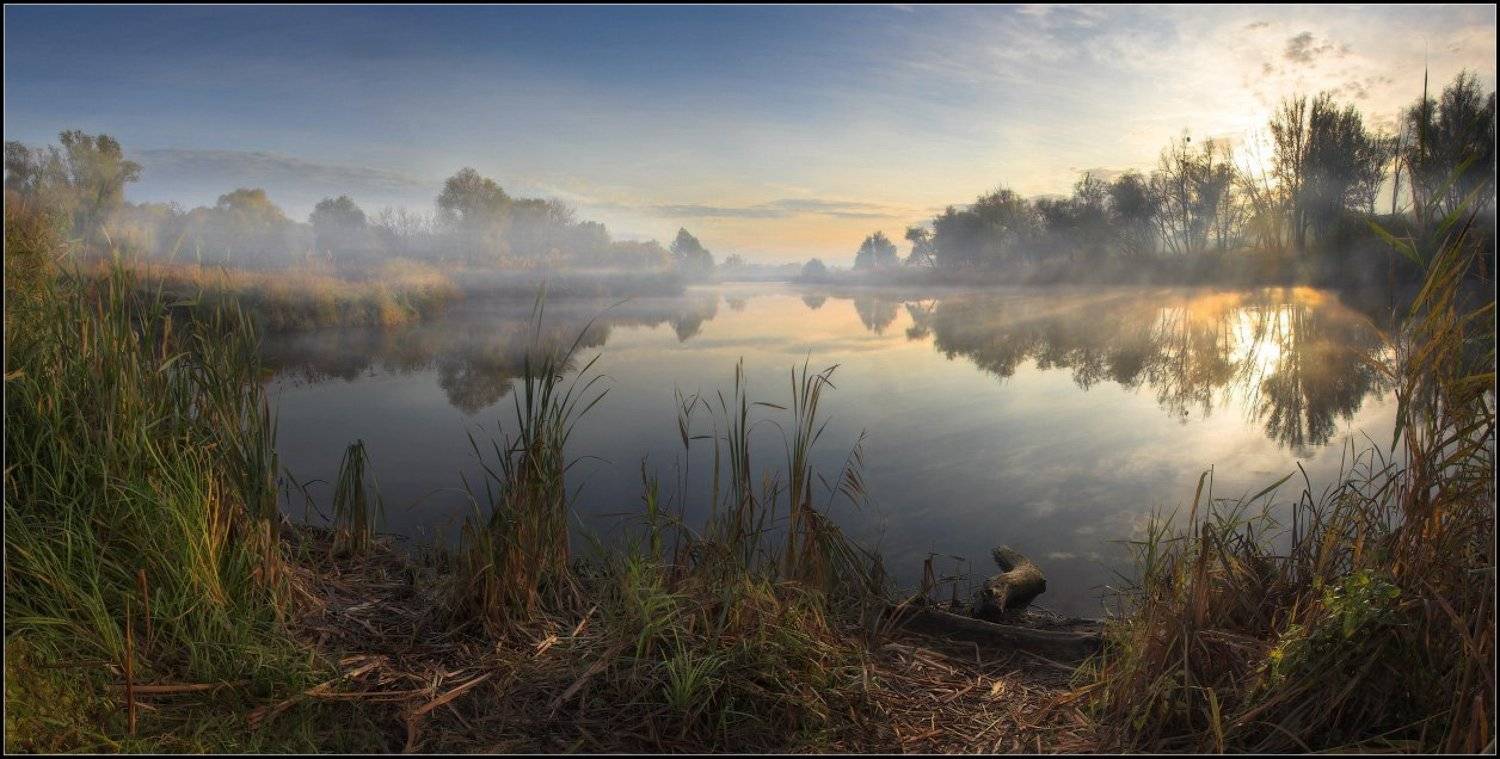 , Александр Киценко