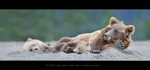 Afternoon nap
