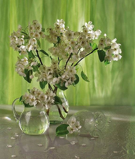 натюрморт, весна, стекло, цветы яблони, свет, ткань, вода, капли, настроение, Ирина Фурашова