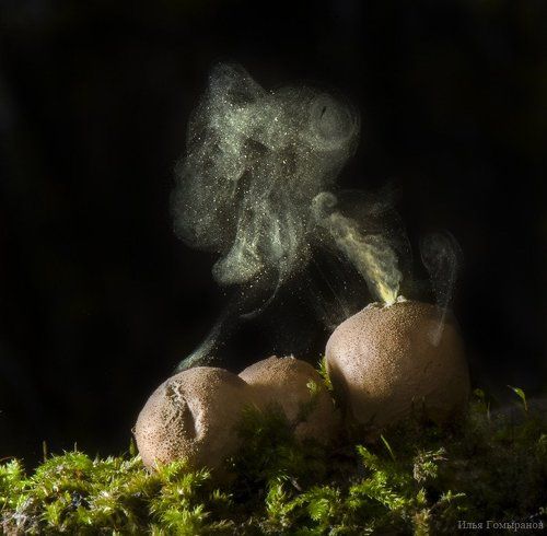 Извержение