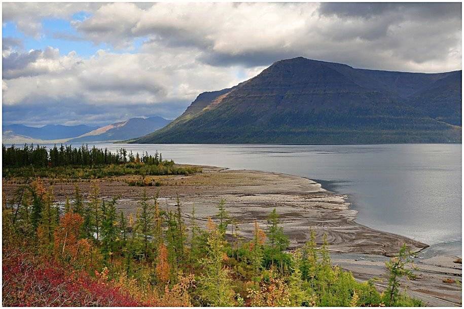 таймыр, Vladimir