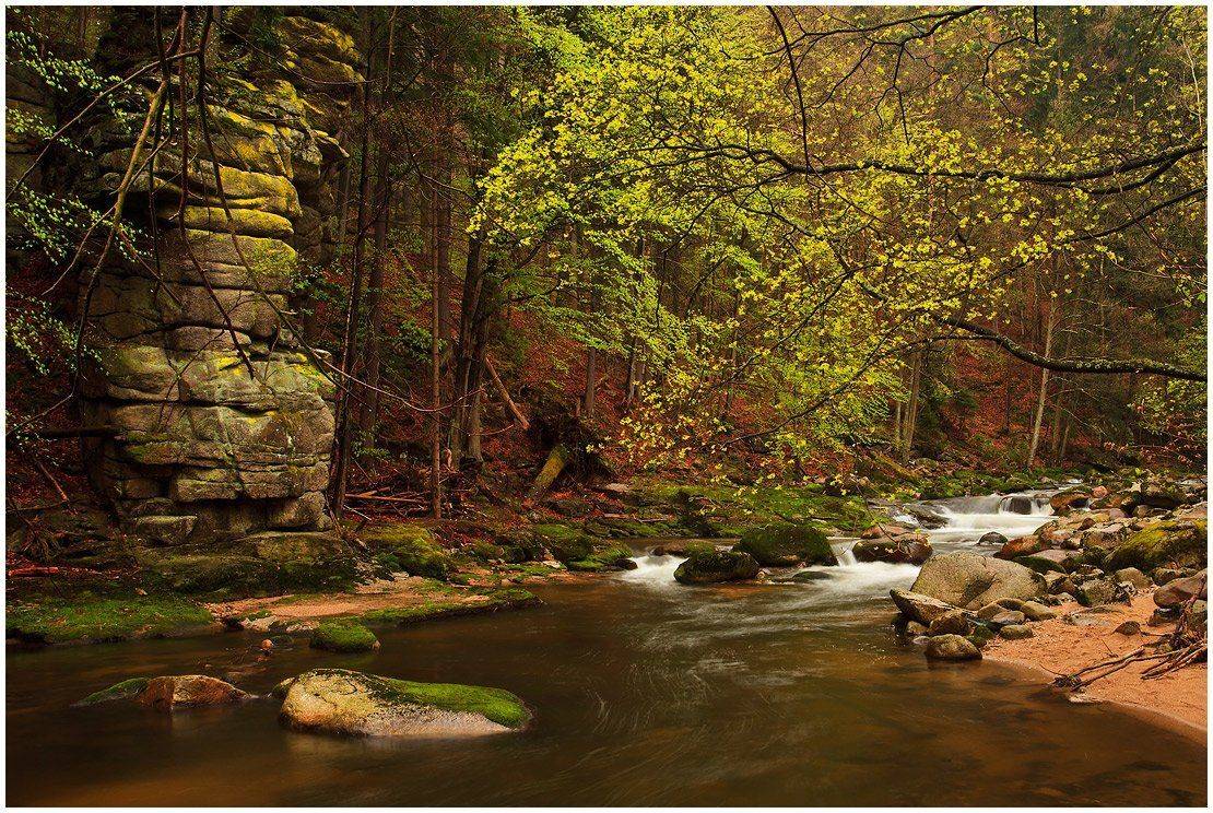 природа, пейзаж, лес, река, камни, листва, Oleg Dmitriev