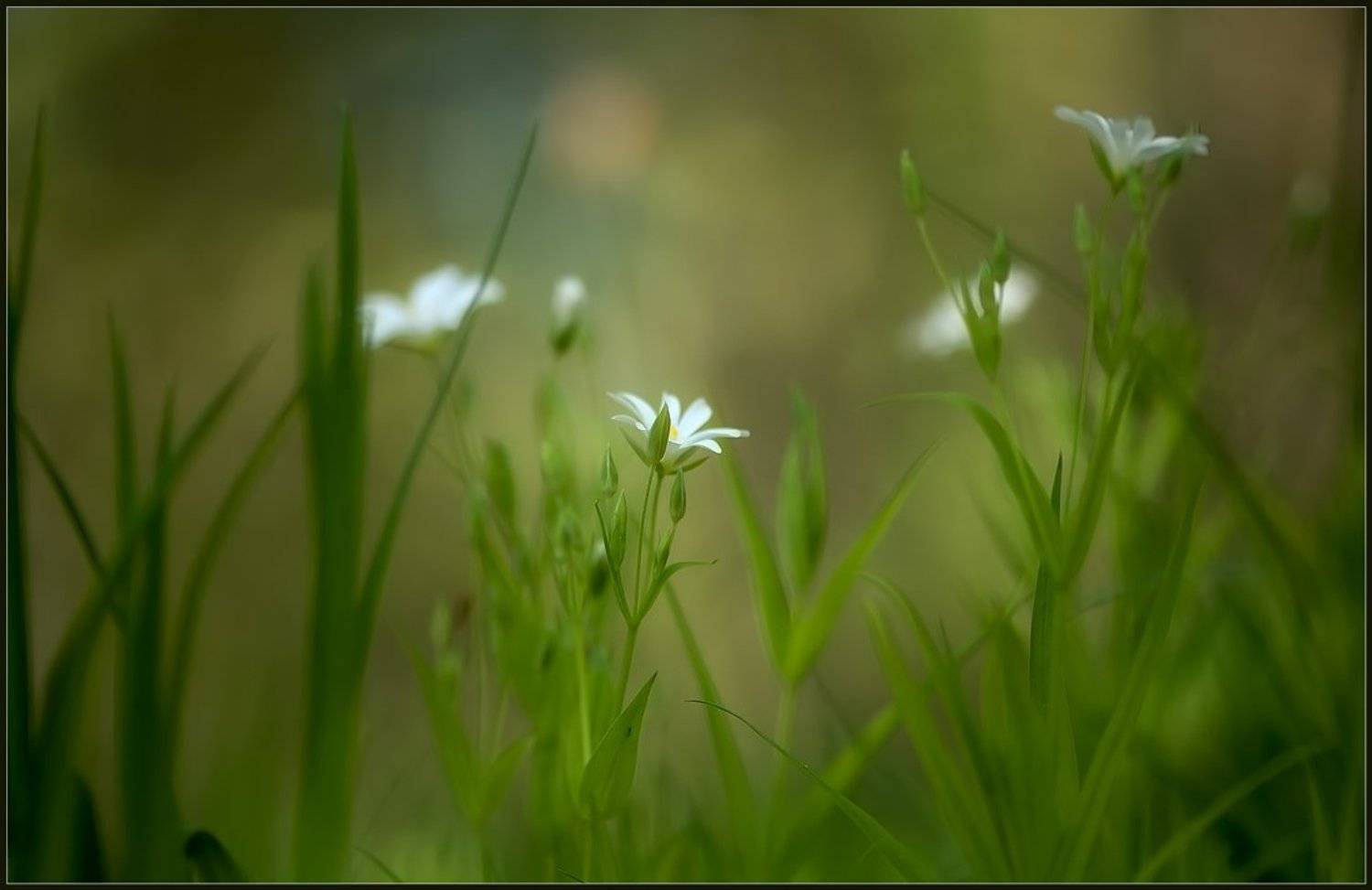 , Евгений Кирилкин.
