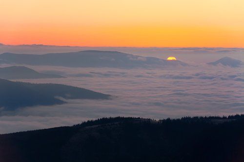 Сквозь туман