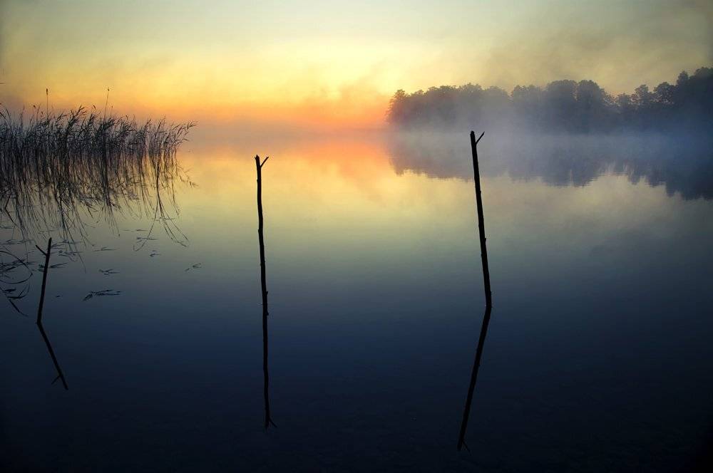 , Rimantas Bikulcius