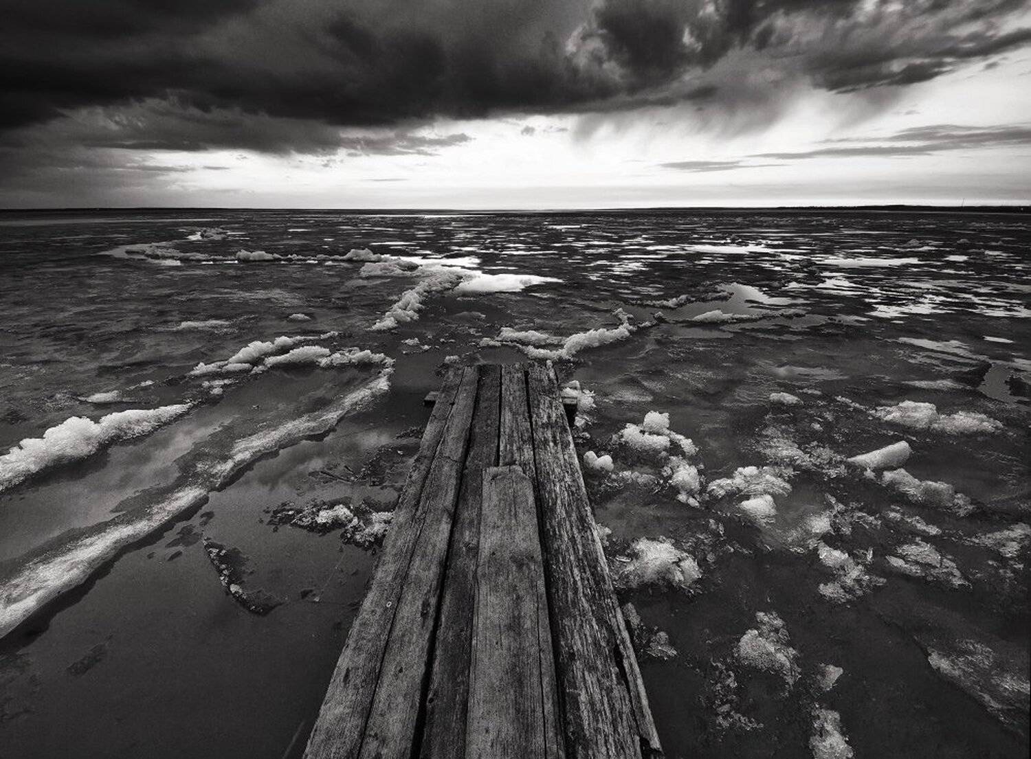 , Максим Евдокимов