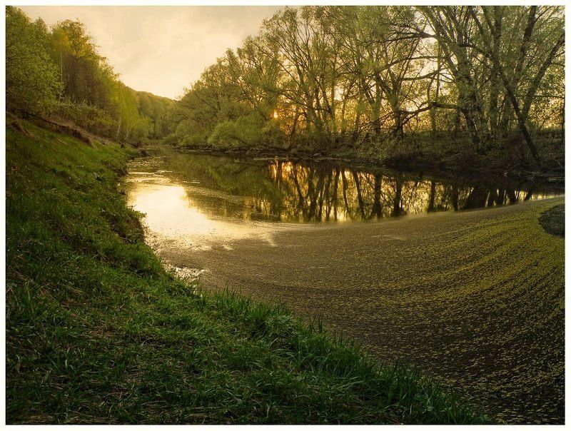 * * * фото превью