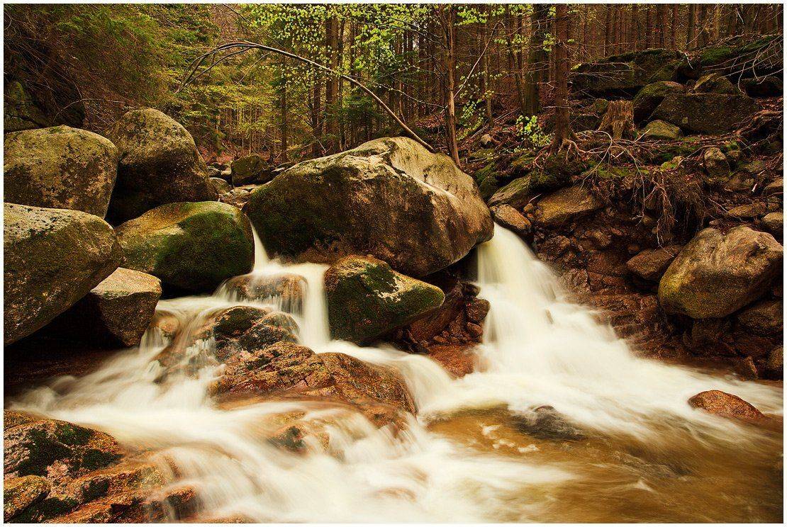 природа, пейзаж, лес, река, камни, листва, Oleg Dmitriev