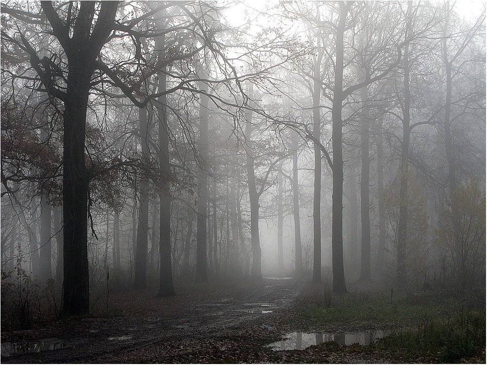 , Роман Белоцерковец