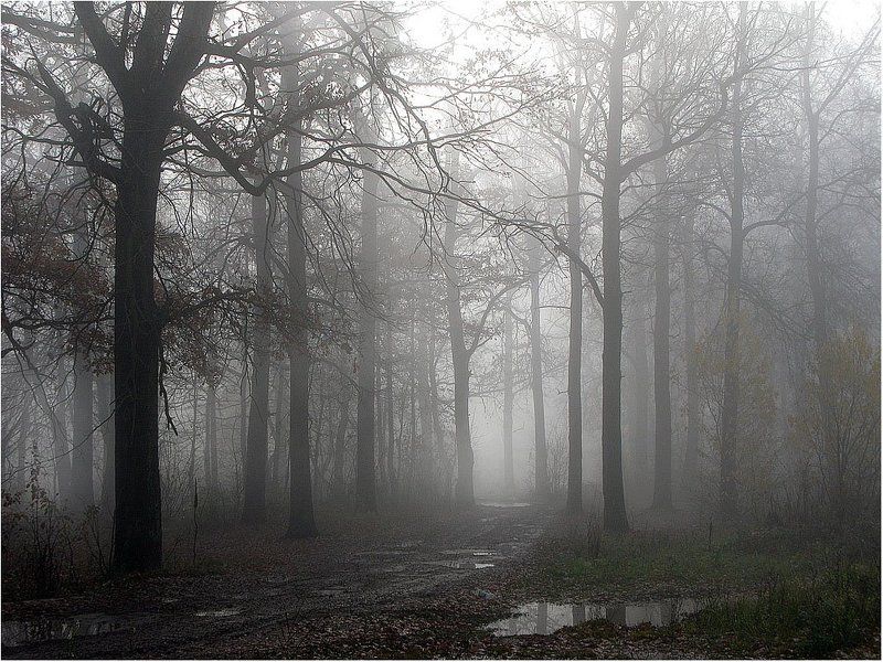 * фото превью