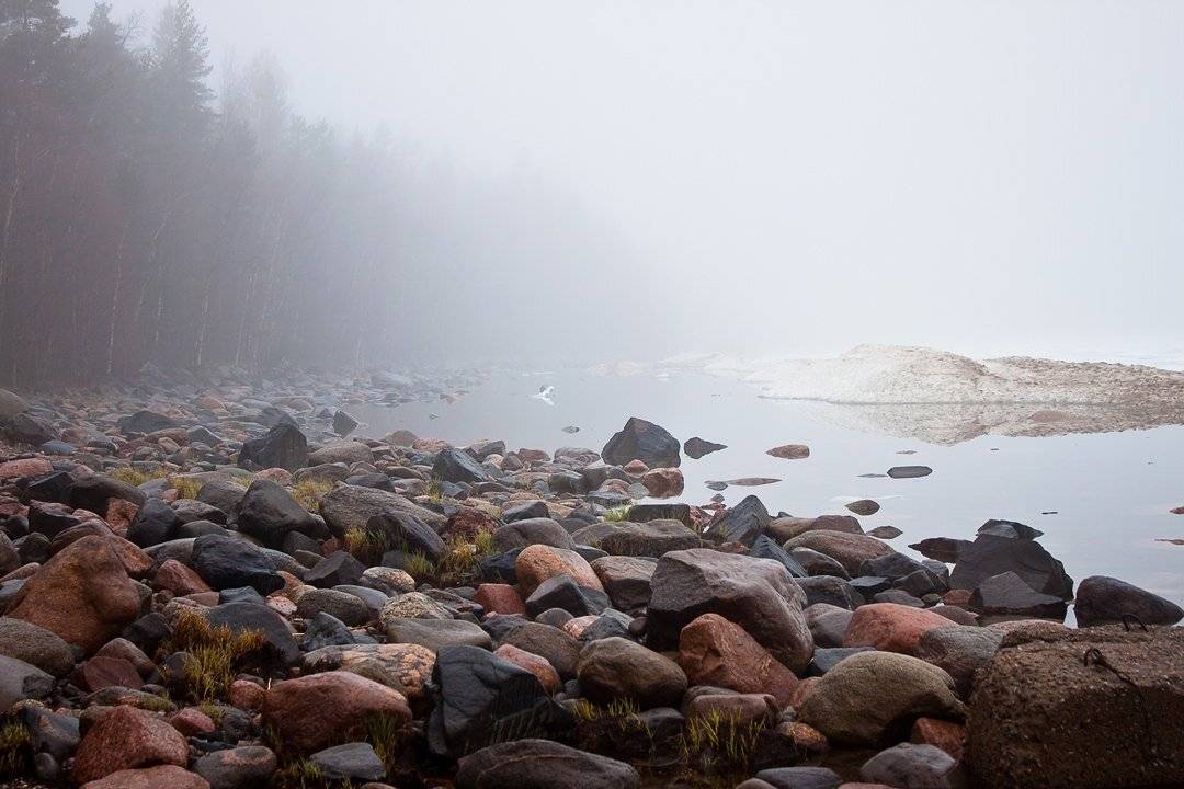 , Бурлов Андрей