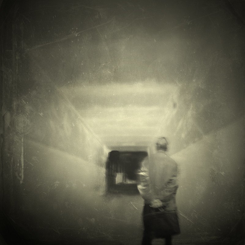 now or never фото превью