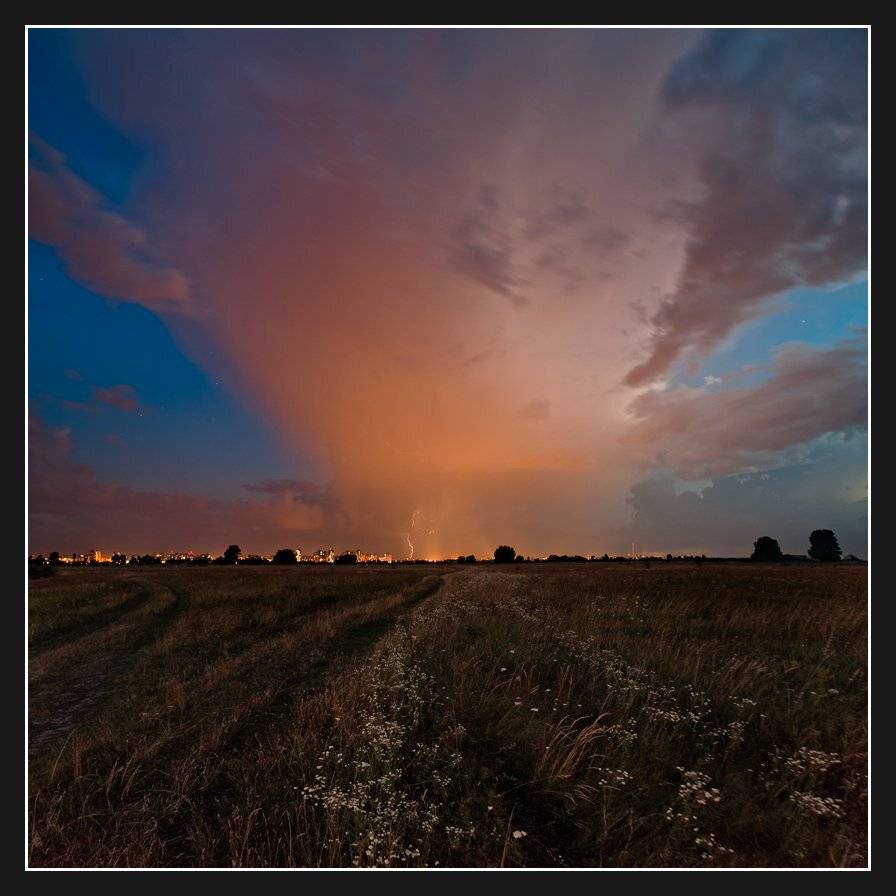 , Алексей Соловей