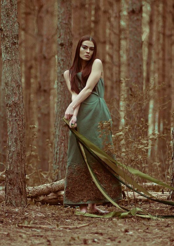 terra фото превью