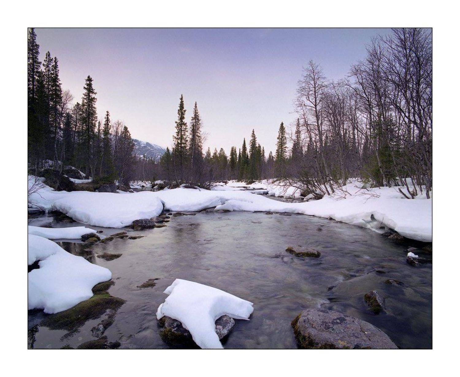 , Дмитрий Лялин