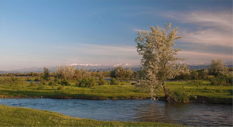 природа В предгорьях .... фото превью