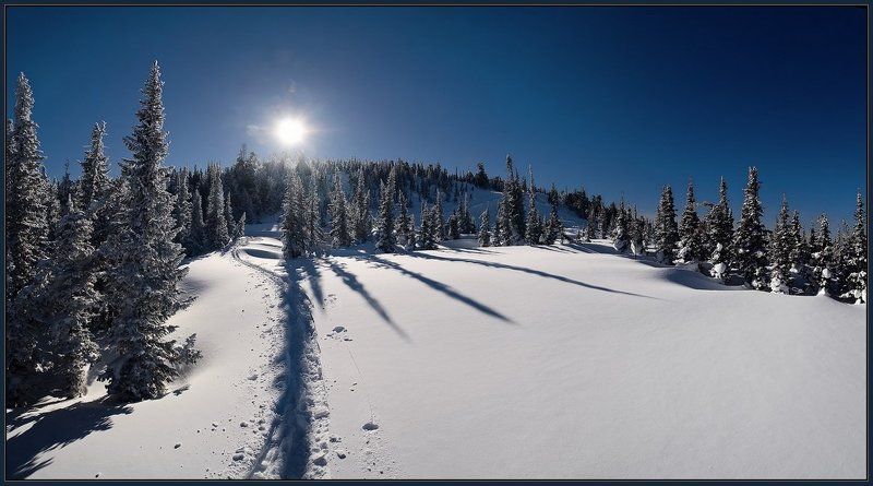 шерегеш, шория, зеленая, зима, елки Ёлки-Палки с Шерегеша фото превью