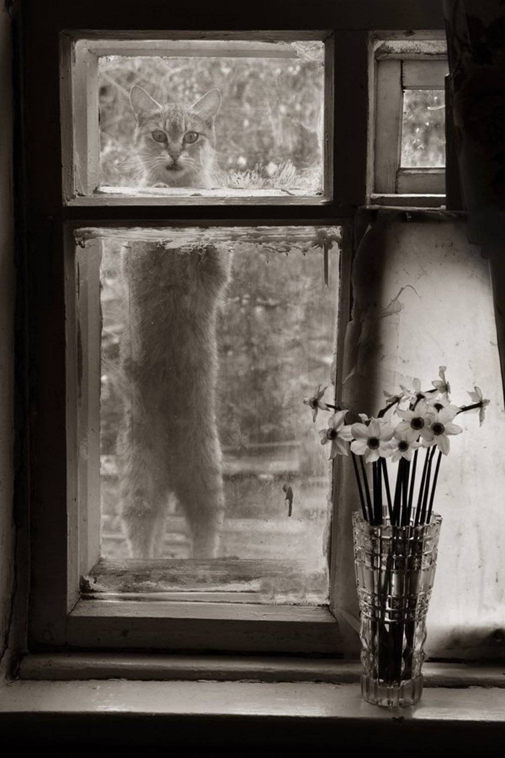 , Бондаренко Александр