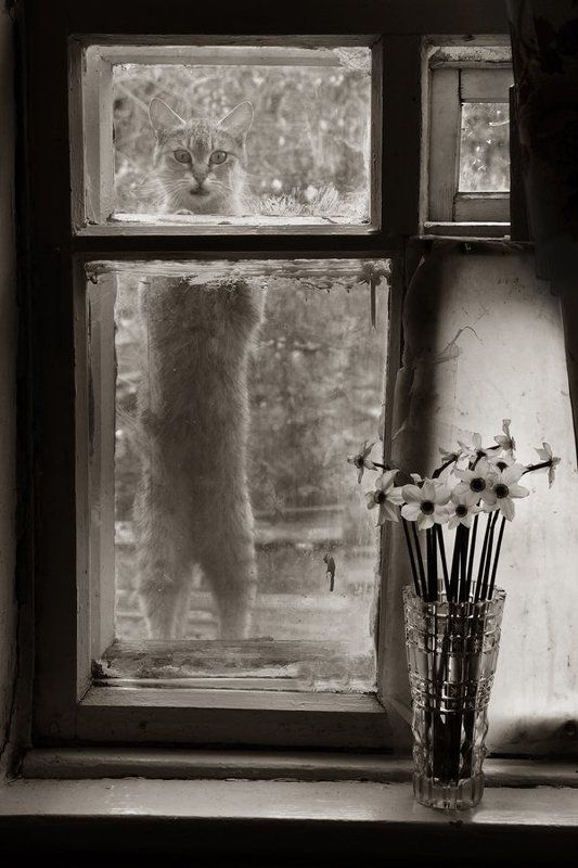 майский этюд) фото превью