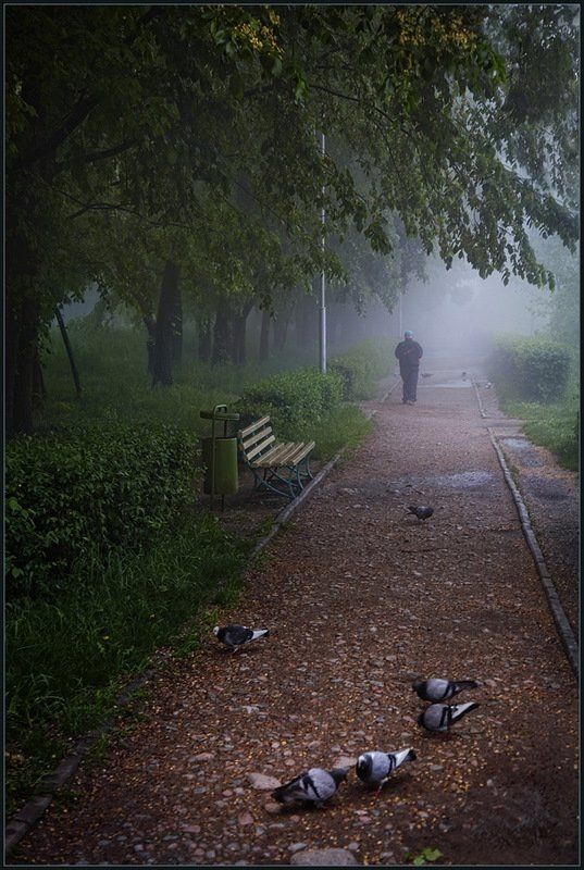 Утро в парке ... фото превью