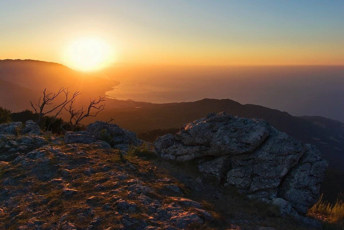 , Игорь Мелекесцев