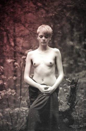 Forest nymph dream