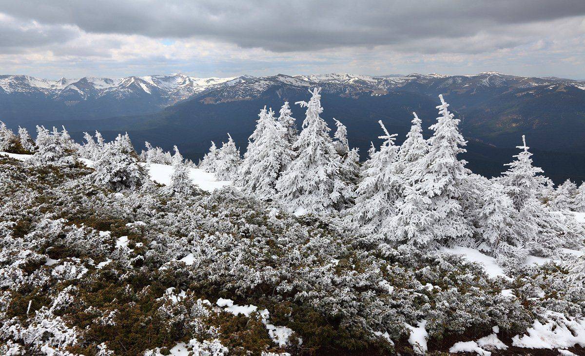 , Михаил Псарёв