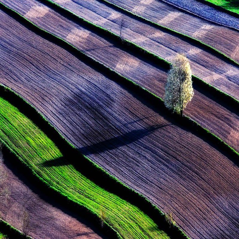Landscapes *** фото превью