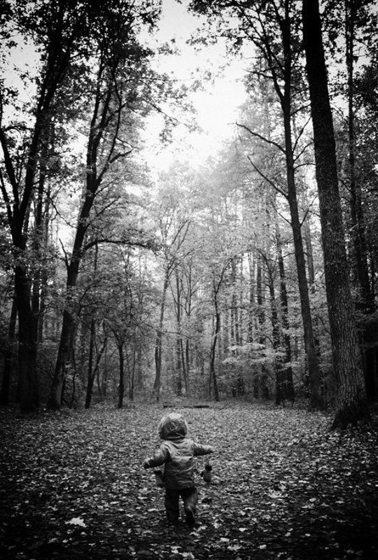 Когда деревья были большими... фото превью