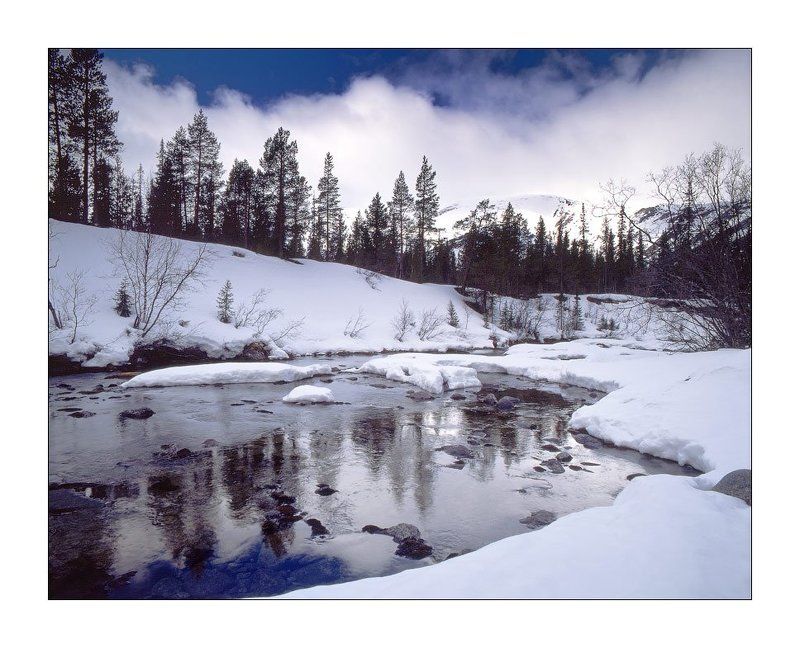 ~~~~~~ фото превью