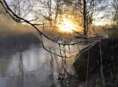 Колыбель для солнышка