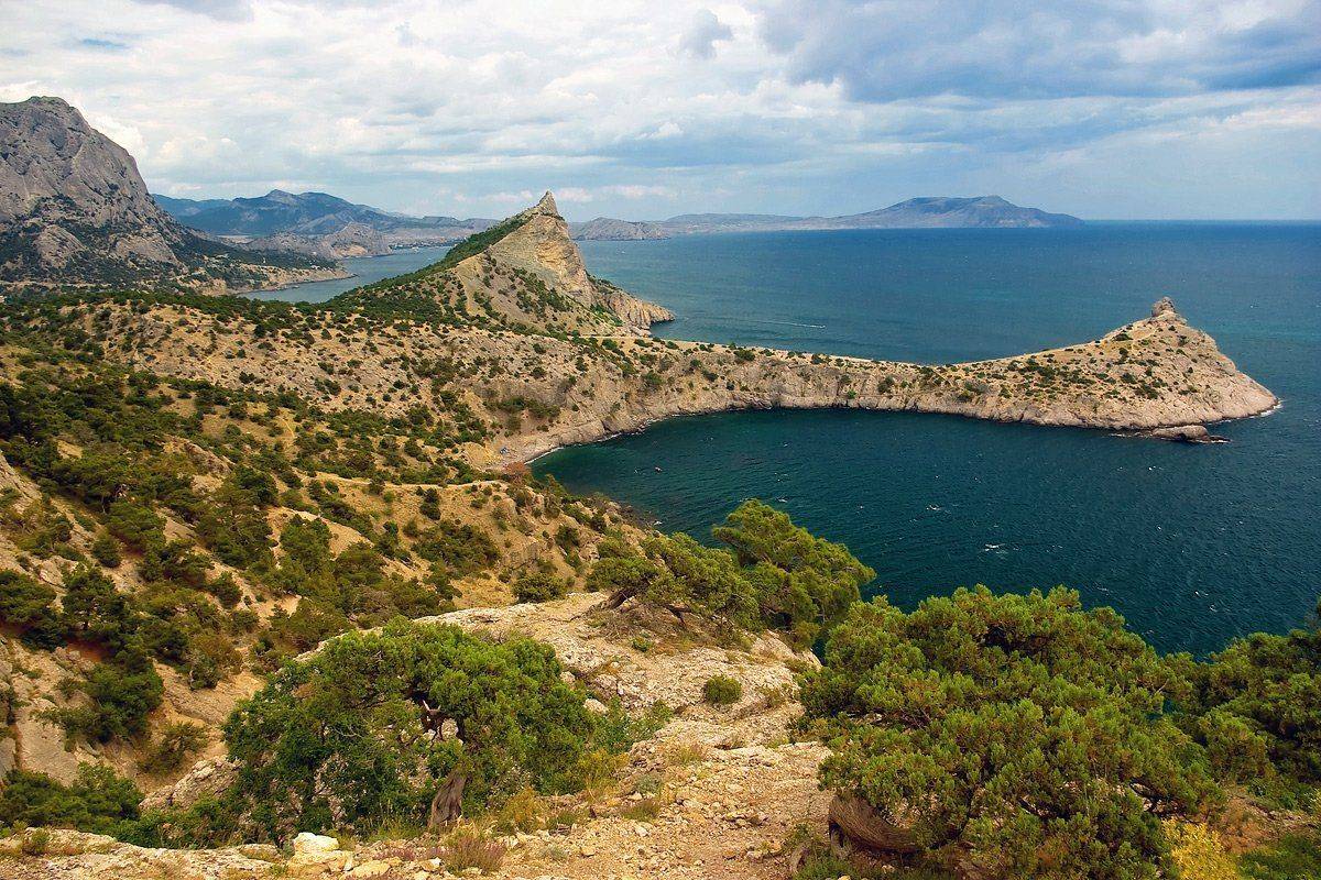 , Игорь Мелекесцев