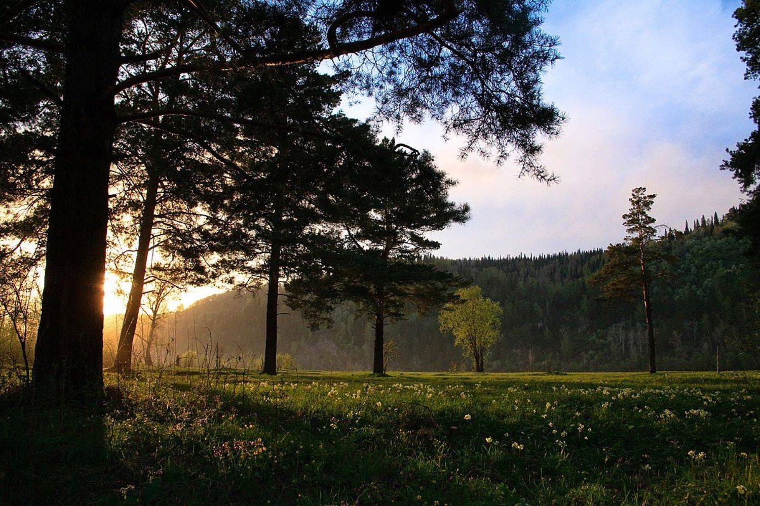 западная сибирь, кузнецкий алатау, мыски, Сергей Белявцев