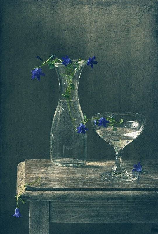 синий, натюрморт, стекло, цветы, свет, lenochkaal