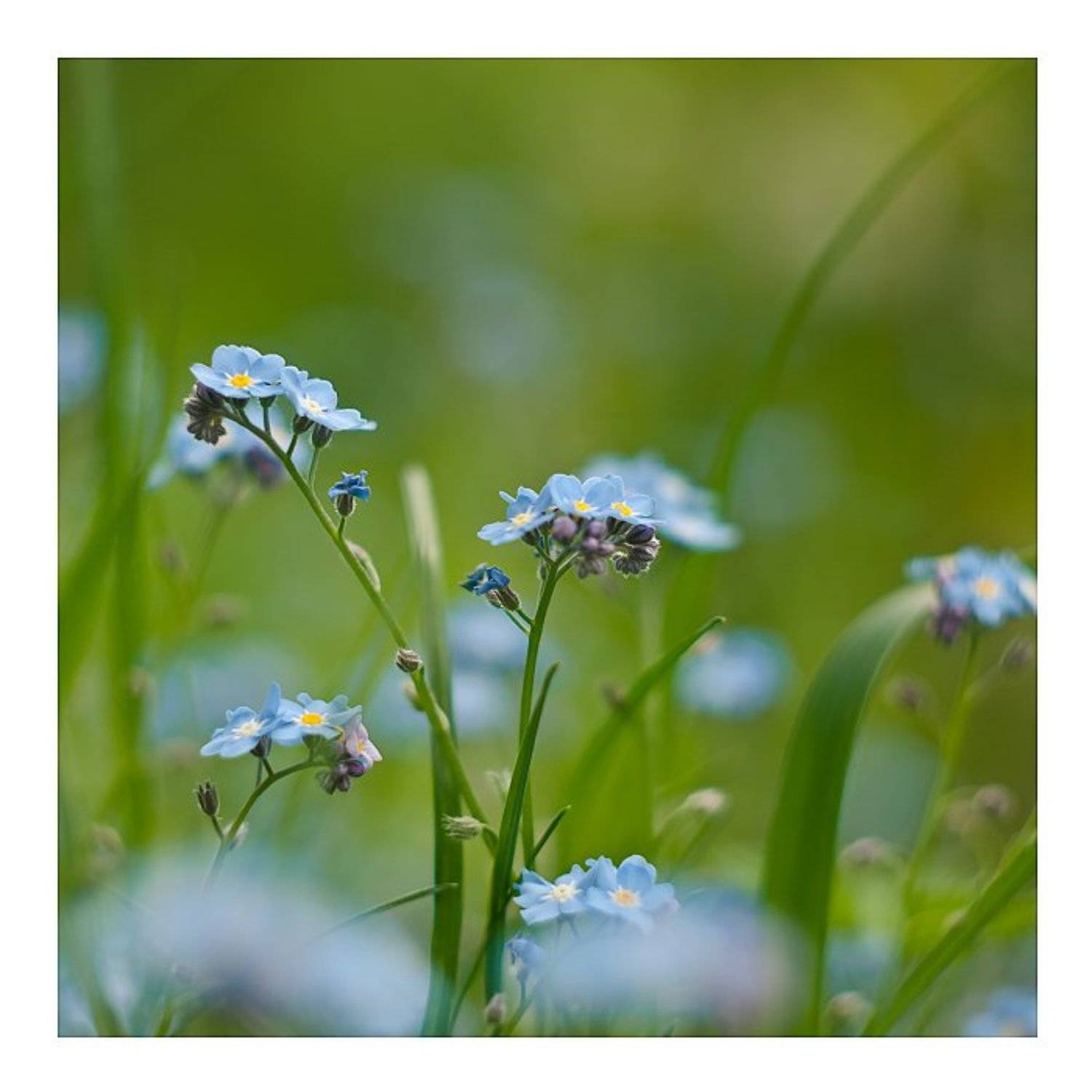 , Полищук И.В.